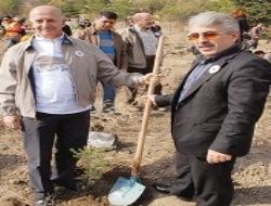 Şehitler için fidan diktiler