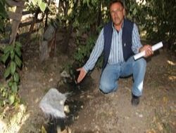 Bitmeyen ahır inadı mahalleyi kokuttu