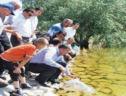 Akyurt Göleti'ne 16 bin aynalı sazan