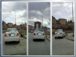 Son model ‘hayvan'sever