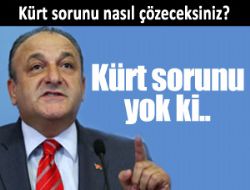 KÜRT SORUNU YOK!