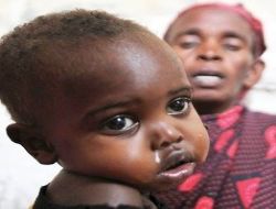 Somali Başbakanı'ndan İTT'ye yardım çağrısı