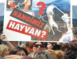 Hayvanseverlerden eylem