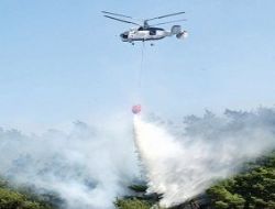 Orman'da helikopter ihalesi