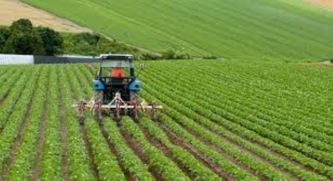 Ağustos'ta Tarımsal Girdi Fiyatları Yıllık %34,09 Arttı