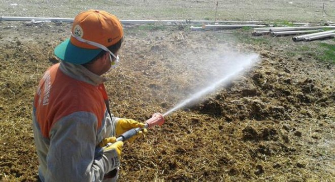 Beypazarı'nda ilaçlama başladı