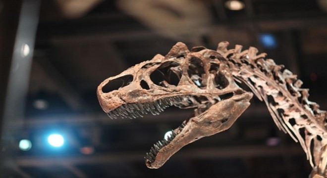Bilim insanları, Tibet'te 176 milyon yıl öncesine ait 99 dinozor izi buldu