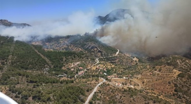 İzmir ve Muğla'da orman yangınları