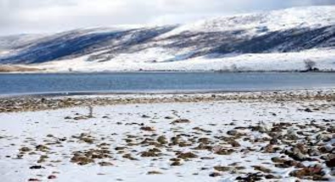 Kars ve Ardahan'da Soğuk Hava Etkili