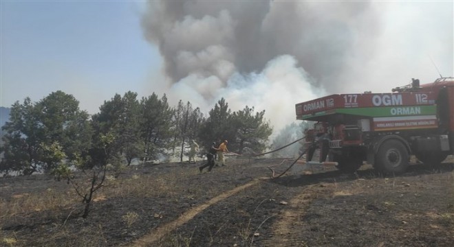 Kırklareli ve Çanakkale'de orman yangını