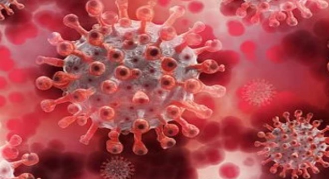 Koronavirüs salgınında ölenlerin sayısı 11 bin 233'e ulaştı
