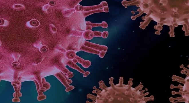 Koronavirüs salgınında vaka sayısı 14 bin 494'e ulaştı