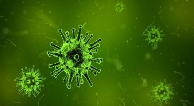 Koronavirüs salgınında vaka sayısı 6 bin 546'ya ulaştı