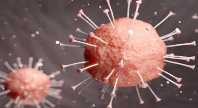 Koronavirüs salgınında vaka sayısı 8 bin 636'ya ulaştı