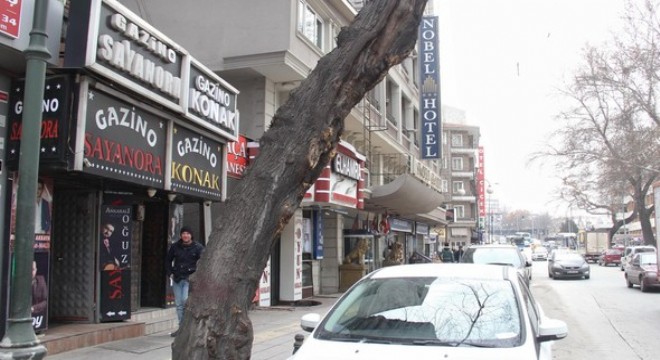 Pavyonlara ‘galeri' çözümü