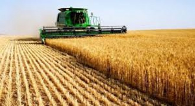 Tarım ÜFE Kasımda Yıllık Bazda Yüzde 31'in Üzerine Çıktı