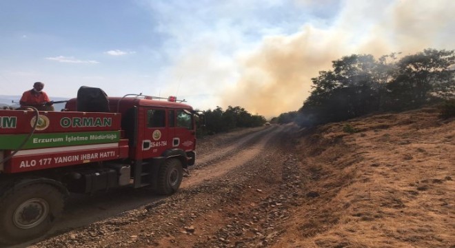 Tunceli ve Bingöl'deki yangınlara müdahale sürüyor