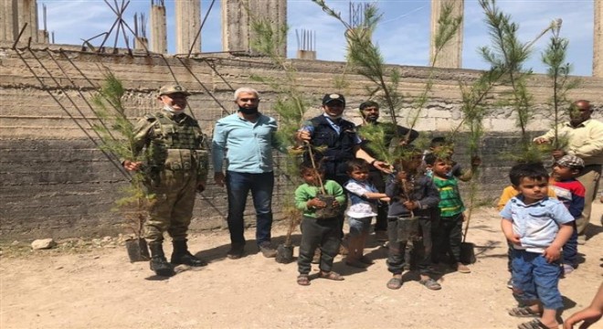 Türkiye'nin yeşili Suriye'ye uzandı