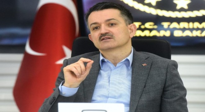Uşak'taki yangın kontrol altında