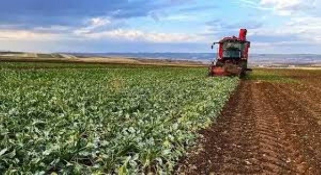 Çiftçilere 19,5 Milyar Liralık Tarımsal Destek Ödemesi Başladı